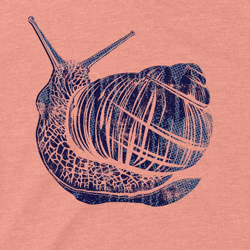 Snail Graphic T-shirt