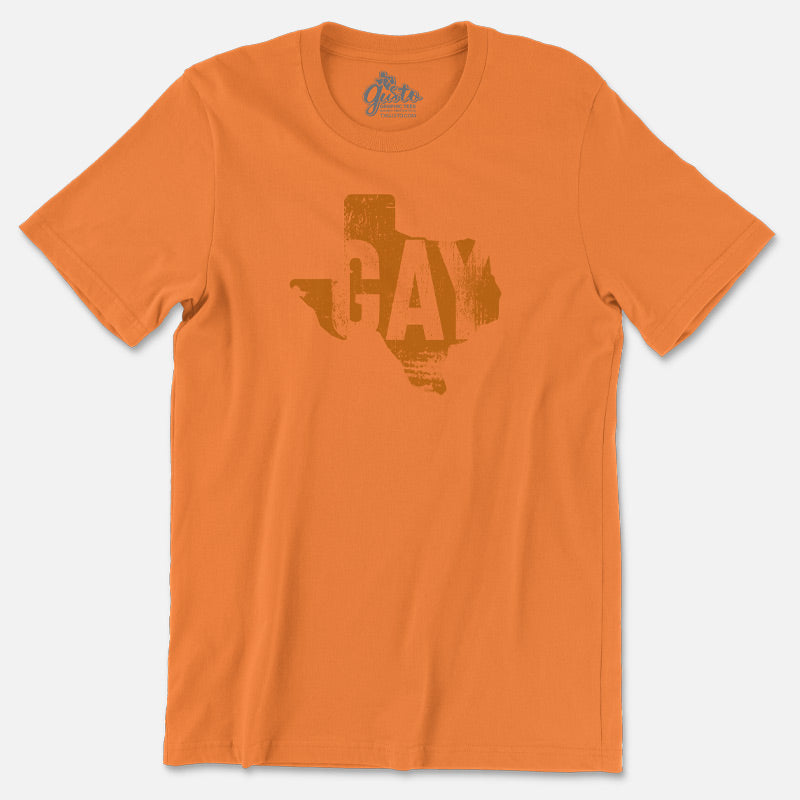 Gay Texan T-shirt, LGBTQIA Pride T-shirt, Gay Pride
