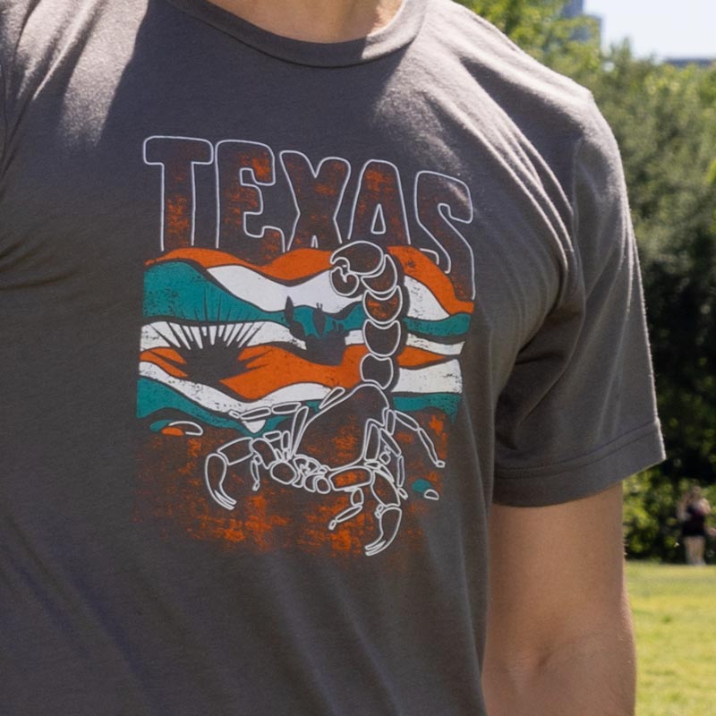 Texas Scorpion T-shirt, Texas T-shirt, Solid Asphalt Triblend Bella+Canvas 3413 Triblend T-shirt