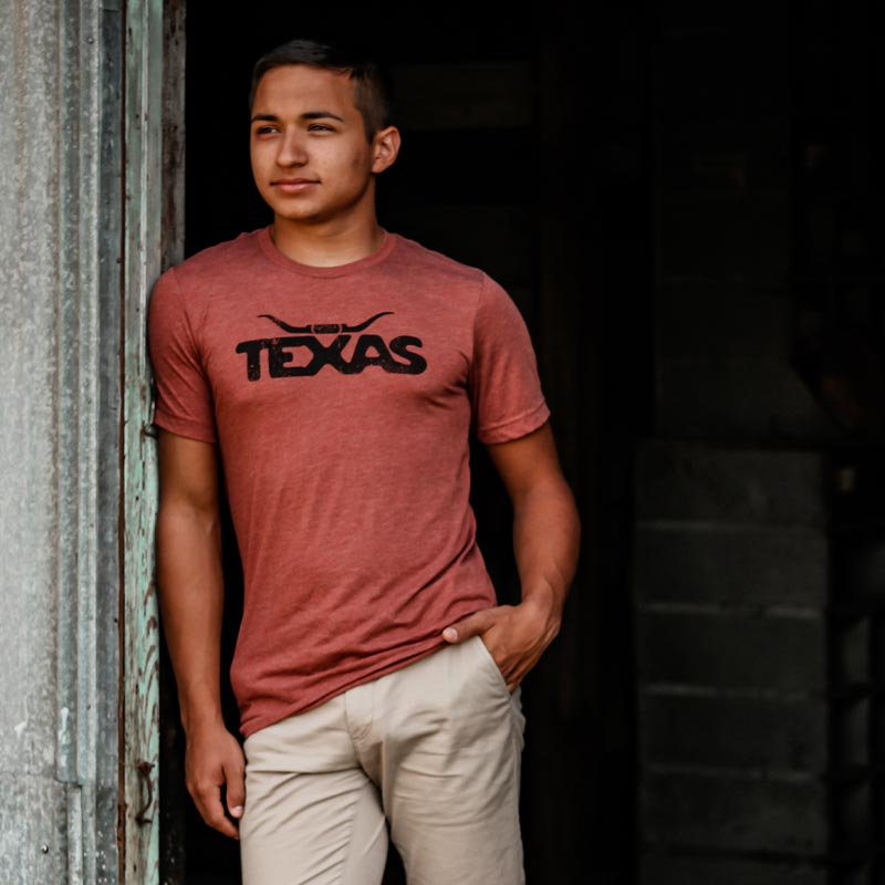Texas Longhorn Graphic T-shirt, Bella+Canvas 3413, Clay Unisex T-shirt