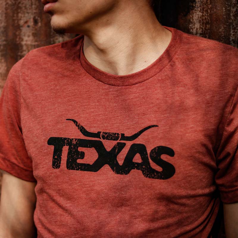 Texas Longhorn Graphic T-shirt, Bella+Canvas 3413, Clay Unisex T-shirt